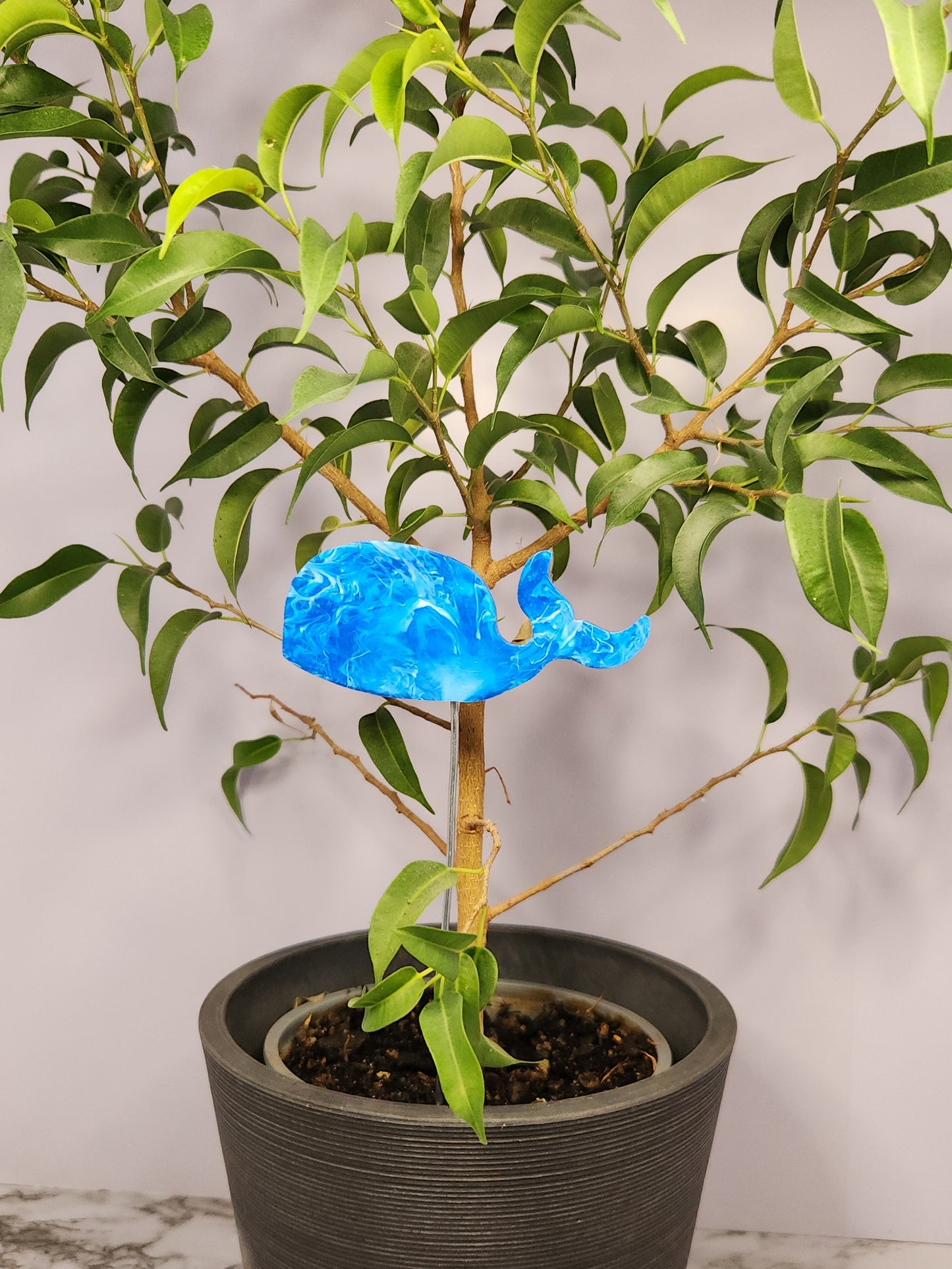 Blue Whale Plant Pal
