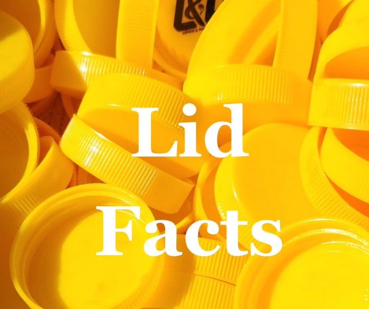 Lids Facts - Yellow / Good As Gold