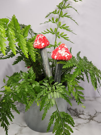Mushrooms